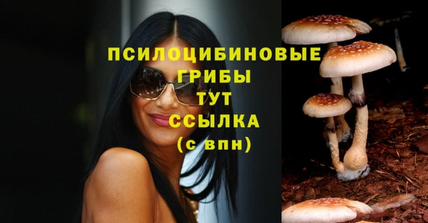 дмт Бабаево
