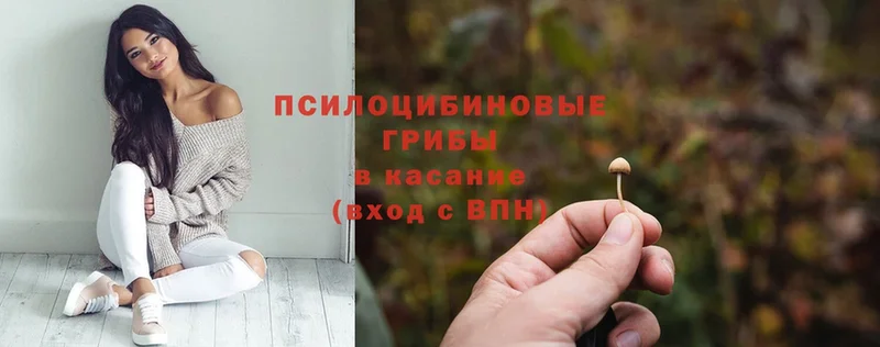 Галлюциногенные грибы Magic Shrooms  ссылка на мегу сайт  Карабаш  где купить наркотик 